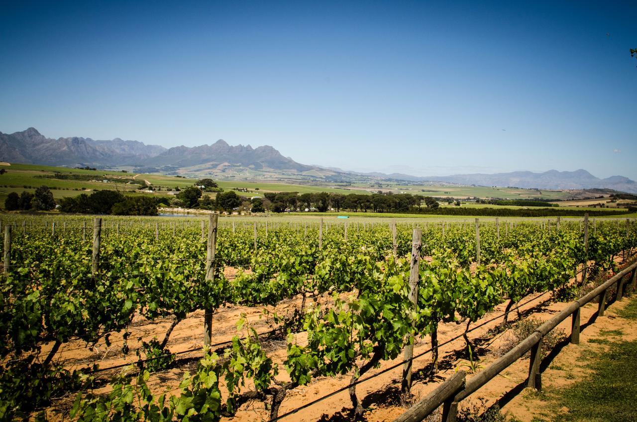 Lavinia Lifestyle Villa Stellenbosch Dış mekan fotoğraf