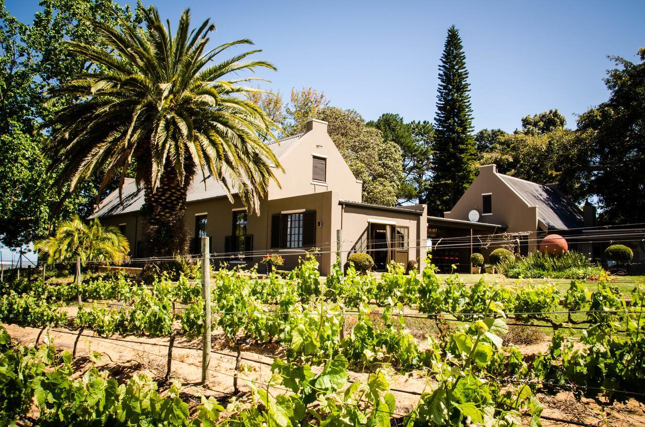 Lavinia Lifestyle Villa Stellenbosch Dış mekan fotoğraf