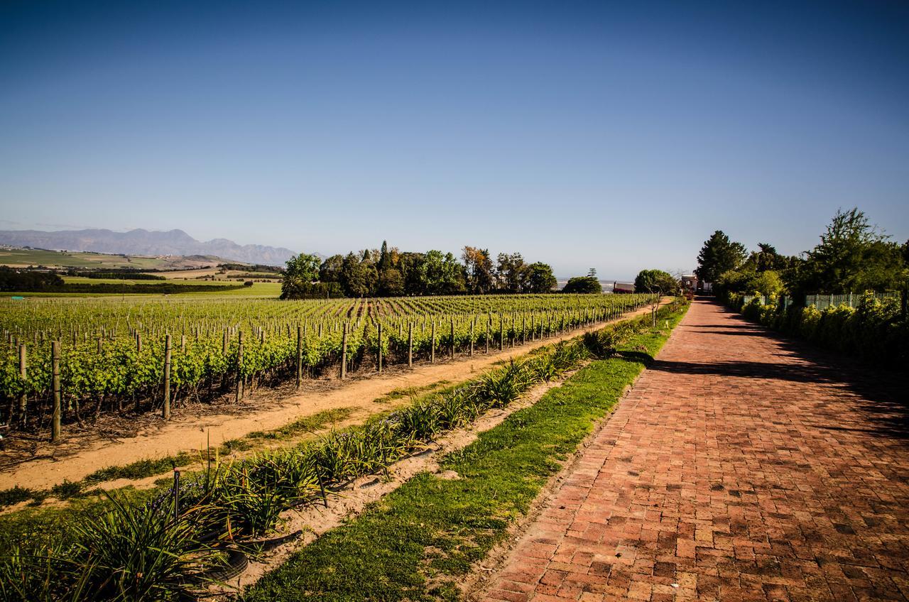 Lavinia Lifestyle Villa Stellenbosch Dış mekan fotoğraf