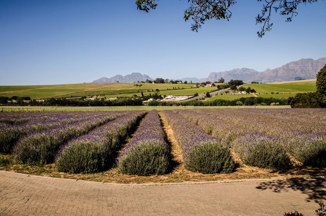 Lavinia Lifestyle Villa Stellenbosch Dış mekan fotoğraf